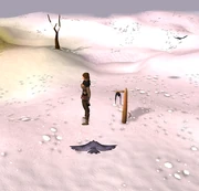 Hunter catching birds