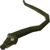 Desert snake