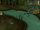 Scan clue Haunted Woods south-west of musician.png