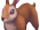 Common brown rabbit detail.png