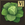 Gower Quest icon.png