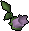 Cave nightshade.png