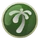 Karamja lodestone icon