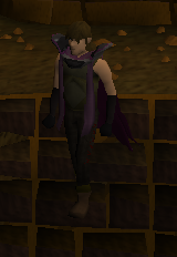 ThiefMaster.png