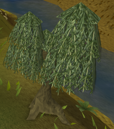 Willow tree, RuneScape Wiki