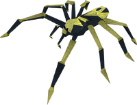 Blessed spider