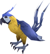 Macaw