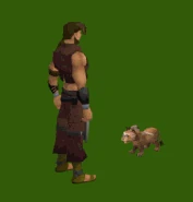 A skypouncer kitten performing the "Die, tiny victim" emote.