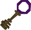 Bronze key purple detail