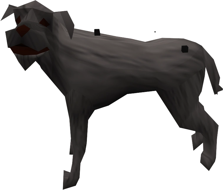 Where Is The Stray Dog In Varrock