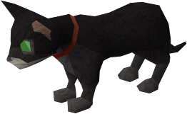 Kitten (Bringing Home the Bacon) | RuneScape Wiki | Fandom