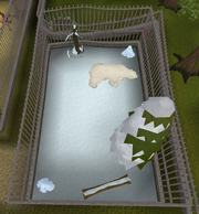 Chuck in his assigned pen in Ardougne Zoo.