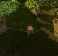 Hidey-hole Lumberyard