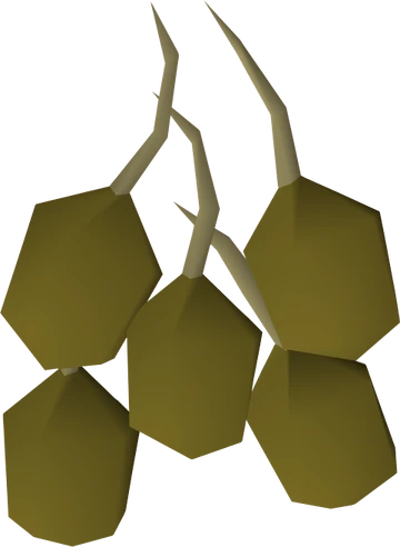 Potato seed | RuneScape Wiki | Fandom