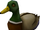 Duck.png