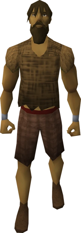 Villager (The Battle of Lumbridge)2