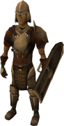 Bronze armour set (lg) equipped.png