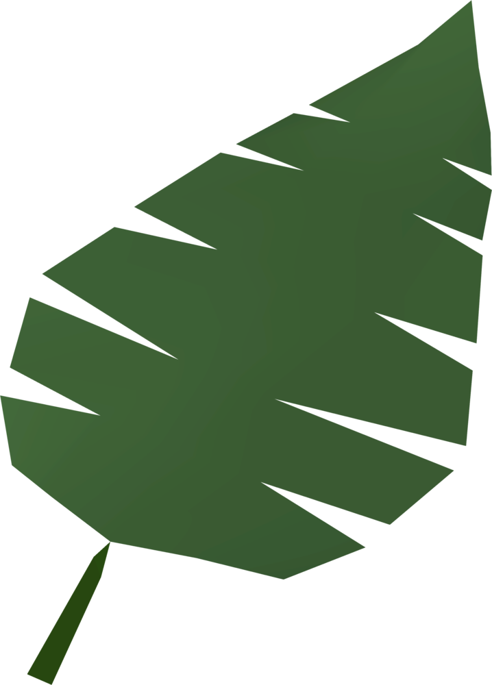 Palm Leaf Runescape Wiki Fandom
