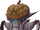 Pumpkincrow