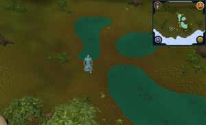 treasure trails guide compass