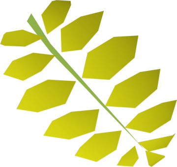 Curry Leaf Runescape Wiki Fandom