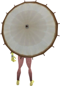 Coconut parasol equipped