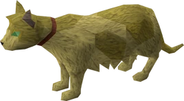 HRH Hrafn