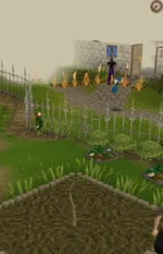 Click for a larger image