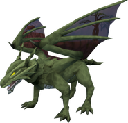 Adolescent - elder green dragon