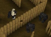 Both apes patrolling the jail simultaneously