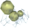 Araxyte egg detail