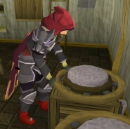 Max treinando artesanato