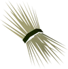 Straw detail