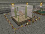 Camel Varrock Museum