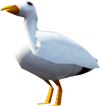 Seagull (Deep Sea Fishing)