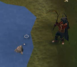 Drq3.png