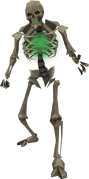 Basic skeleton