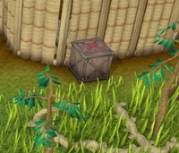 Hidey-hole Tai Bwo Wannai