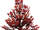 Maple tree.png