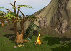 Nickolaus's camp.png