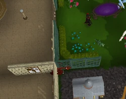 Baby Red dragon no-clipped into walls.