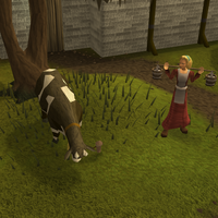 The Milk Shop Runescape Wiki Fandom The Milk Shop Runescape Wiki Fandom