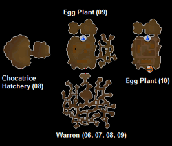 A map of the various ares of the burrow.