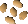 Palm seed.png