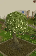 Click for a larger image