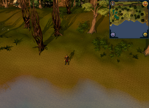 treasure trails guide compass