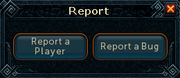 Report interface