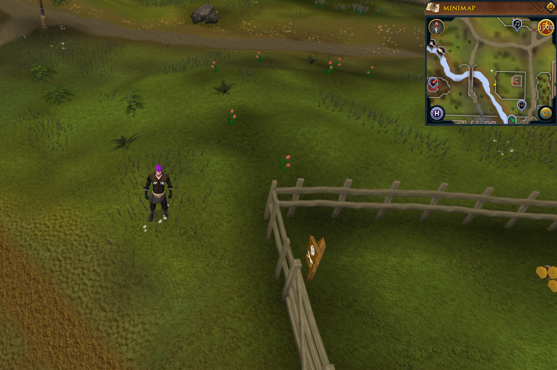 runescape gameplay, Screenshots courtesy of MMOHut, your #1…