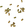 Mammal droppings detail.png