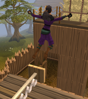 Part of the Extended Barbarian agility course.